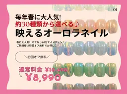 【3月限定】春人気No.1★約30種〜選べるオーロラネイル¥8,990※初回オフ無料⦅オフなし⦆