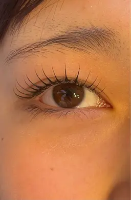 《期間限定‼️》　🎀上まつ毛パーマ🎀