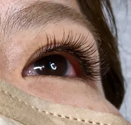 フラットラッシュ・カラーフラットつけ放題（本数無制限）