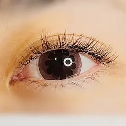 パリエク パリジェンヌ✖️マツエク (60本)