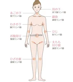 マッサージ60分