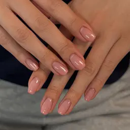 ୨୧フレンチ or カラーグラデーション୨୧