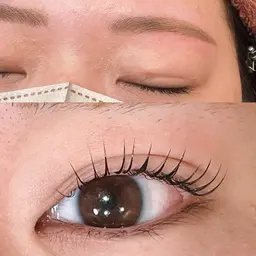 【🩰 セットメニュー 🩰】ラッシュリフトorパリジェンヌ＋アイブロウWAX