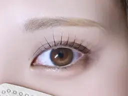 【当日予約限定】ラッシュリフト&美眉スタイリング