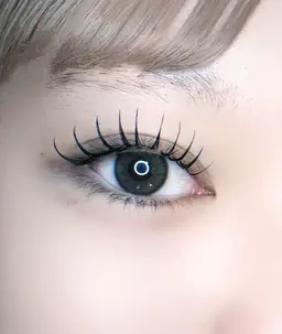 🥀 バインドロック80束 [オフなし］🥀