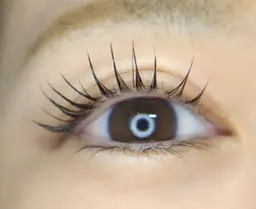 ラッシュリフト