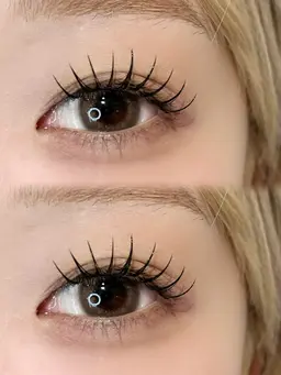 フラットラッシュ120本