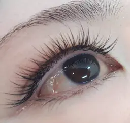 初回お試し（LEDフラットラッシュ101本〜120本　オフ込み）