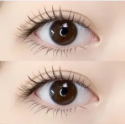 下睫毛シングル40本まで付け放題