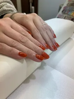 ワンカラー(オフ込み)