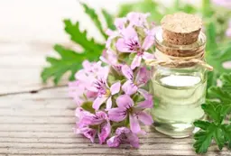 癒しヘッドスパ【愛され💞ゼラニウムの香り🌸💐】シャンプー,トリートメント,ブロー込み価格