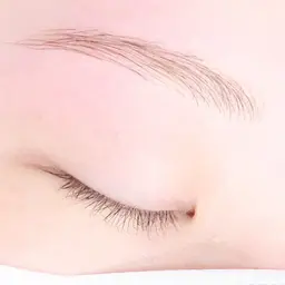 ✨ハリウッドブロウリフト✨《施術時間:90分》