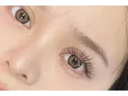 フラットラッュシ120本