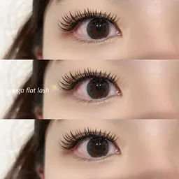 【12月限定】メガフラットラッシュ60束​〜​80束🪽🩷