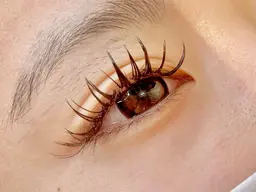 フラットラッシュ120本☆オフ込み