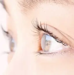 パリジェンヌラッシュリフト【上or下】★¥4980