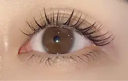 LEDフラットラッシュ120本