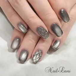 【韓国ネイル】 ちゅるちゅるマグネットワンカラー♡