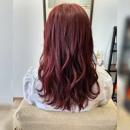 【年末限定】カット＋イルミナカラー＋トリートメント🫧