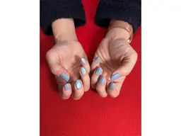 【オフあり】マグネット / ミラー / オーロラ ワンカラー