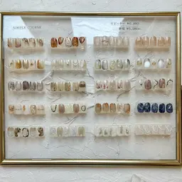 【オフ有り】Chipieee定額シンプルコース