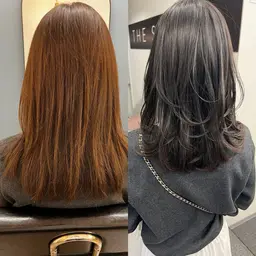 カット、カラー