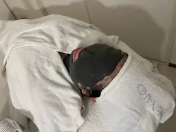 初めての方にオススメ！毛穴汚れが気になる方へ🩶アドバンスコース+クリーンパック