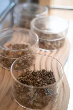 妊活・産後・更年期におすすめ◎【菌活よもぎ蒸し】40分（足浴付）