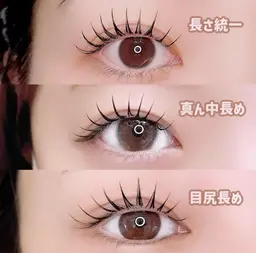 バインドロック120本