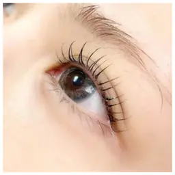 ❤️新規❤️ラッシュリフトまつ毛カール(究極のトリートメント付)新規メニュー現金決済のみ