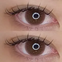 最高級バインドロック　80束