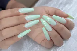 「スカルプ」ワンカラー、マグネット 💝