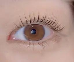 《新規》♡平日限定♡次世代まつ毛パーマ￥6600→￥4950♡minimo限定価格♡