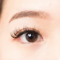 ⚠️12/20・21限定⚠️オフ無し⚠️シングル80本(デザイン指定)