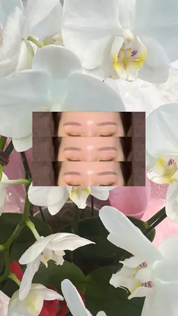 🫧🎀眉毛ワックス🎀🫧（間引き無し）