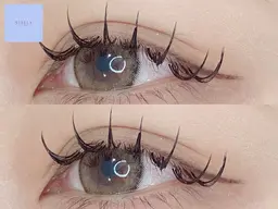 バインドロック60束🧚‍♂️