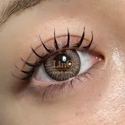 《持続力UP◎》バインドロック60束  (シングル120本程度の濃さ)※現金支払いのみ