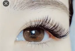 モニター価格📸《ボリュームラッシュ》500本まで🫧