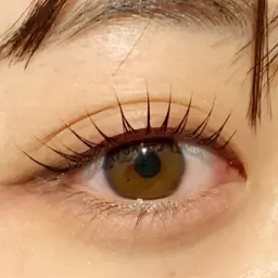 パリジェンヌ ラッシュリフト✨コーティング付き‼️