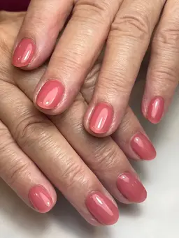 ワンカラー 【オフ無し】 ご新規様10%オフ