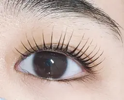 会員様パリジェンヌラッシュリフト🌹ケラチントリートメント付き✨(メーテル可能💖)