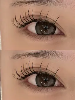 フラットラッシュ６０本