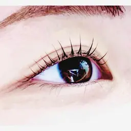 ご新規様限定【まつげﾊﾟｰﾏorﾗｯｼｭﾘﾌﾄ&ｱｲｼｬﾝﾌﾟｰ🧴】パリジェンヌ・根本立上げ・カール選択OK✨