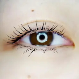 ラッシュリフト、似合わせカールで新たなご自分に♥️