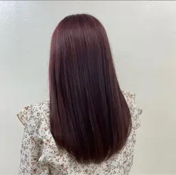 《🍒12月平日限定🐣》🖤🥀onecolor + 💖Aujua6step🫧