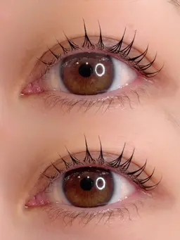 【期間限定】まつ毛パーマ/コーティング付き　※SNS掲載可能な方