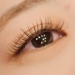 フラットラッシュ100本