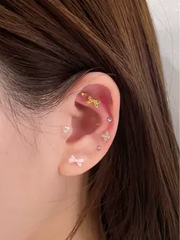 耳つぼジュエリー👂💎　両耳20粒