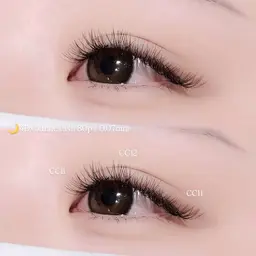 【🌙 4Dボリュームラッシュ 80束】