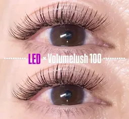 🌈新規価格！🌈💘LED⚡︎ボリュームラッシュ(100束)コーティング仕上げ付き🧡ᩚ💛ᩚ